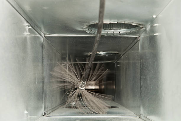 Air Duct Mold Removal in CO