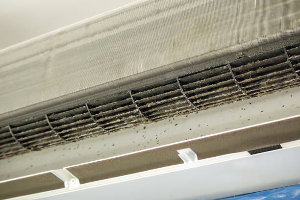 Best Ductwork Cleaning Services  in Thornton, CO